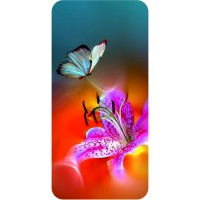 шаблон №2146 Бабочка и орхидея