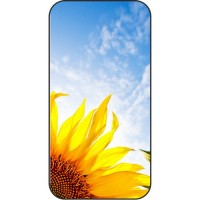 Шаблон №2267 Небо над подсолнухом