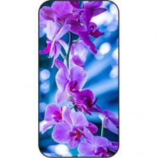 Шаблон №2271 Темно фиолетовая орхидея