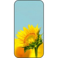 Шаблон №2278 Подсолнух

