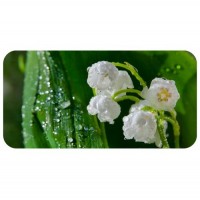 Шаблон №2287 Ландыши с каплями росы